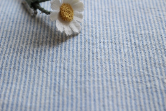 JCL綿麻ストライプ ブルー